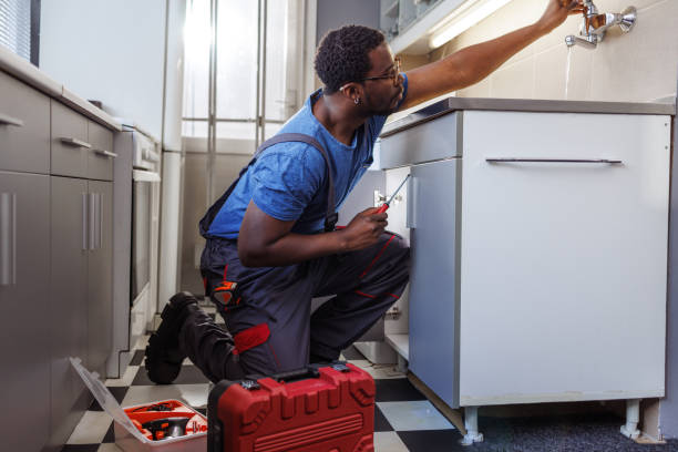Best Plumbing Services Near Me  in Whiting, WI